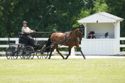 Jenni and JC Viva! take First Place in the dressage ring