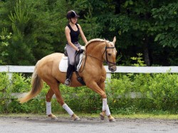 Vinha and Hannah Pierucci schooling at home