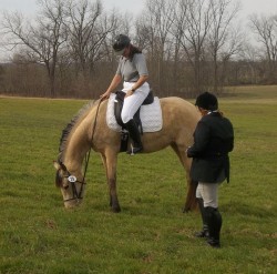 Zia eating grass at show